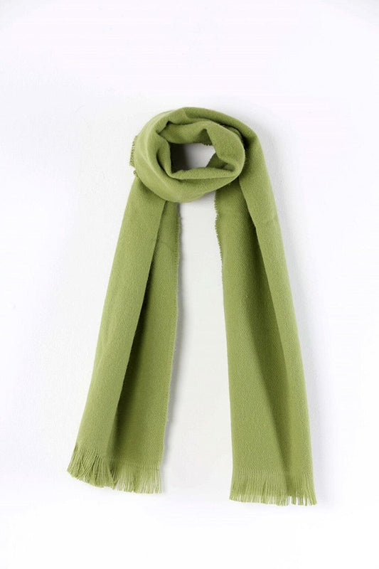 Basic Monotype Green Cashmere Scarf LP-23WIN-075