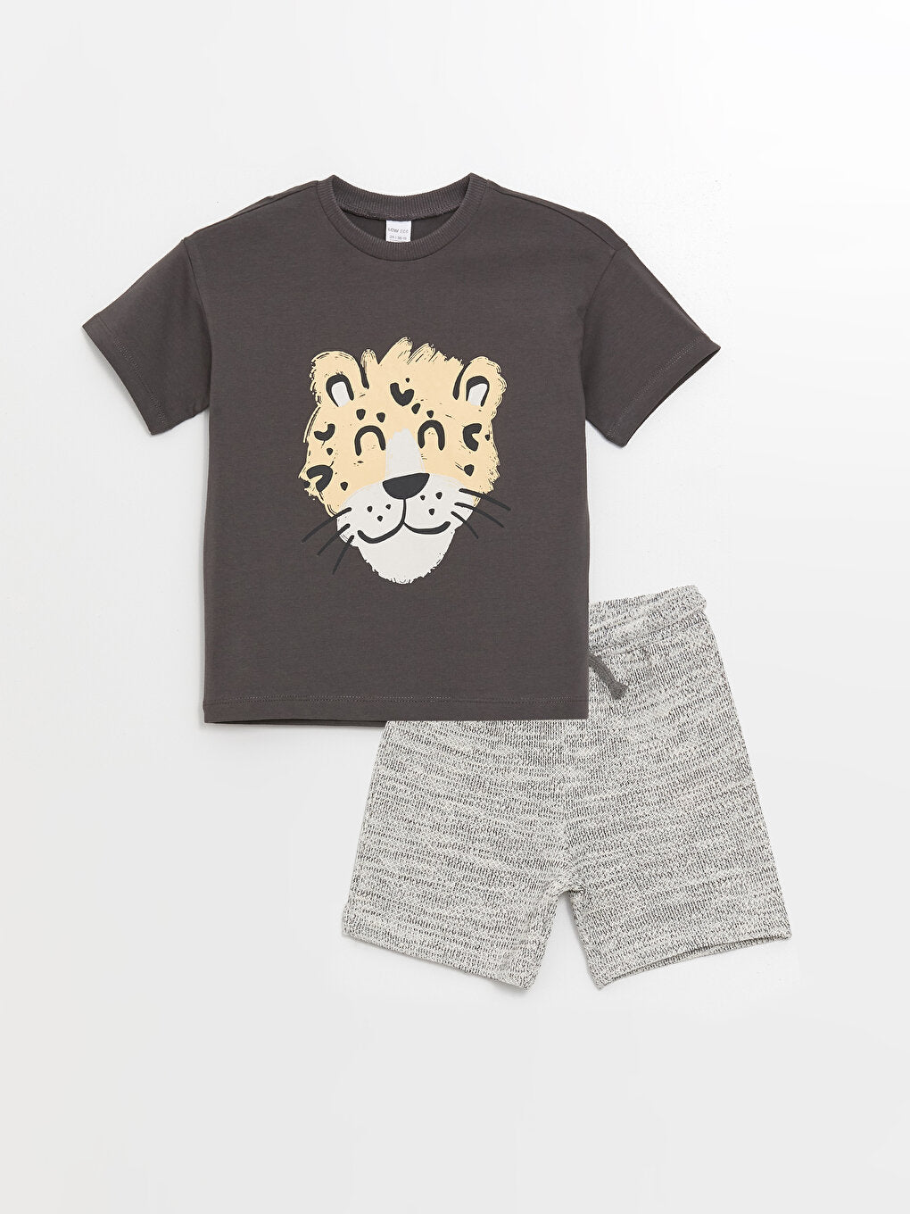 Crew Neck Short Sleeve Printed Baby Boy T-Shirt and Shorts Set of 2