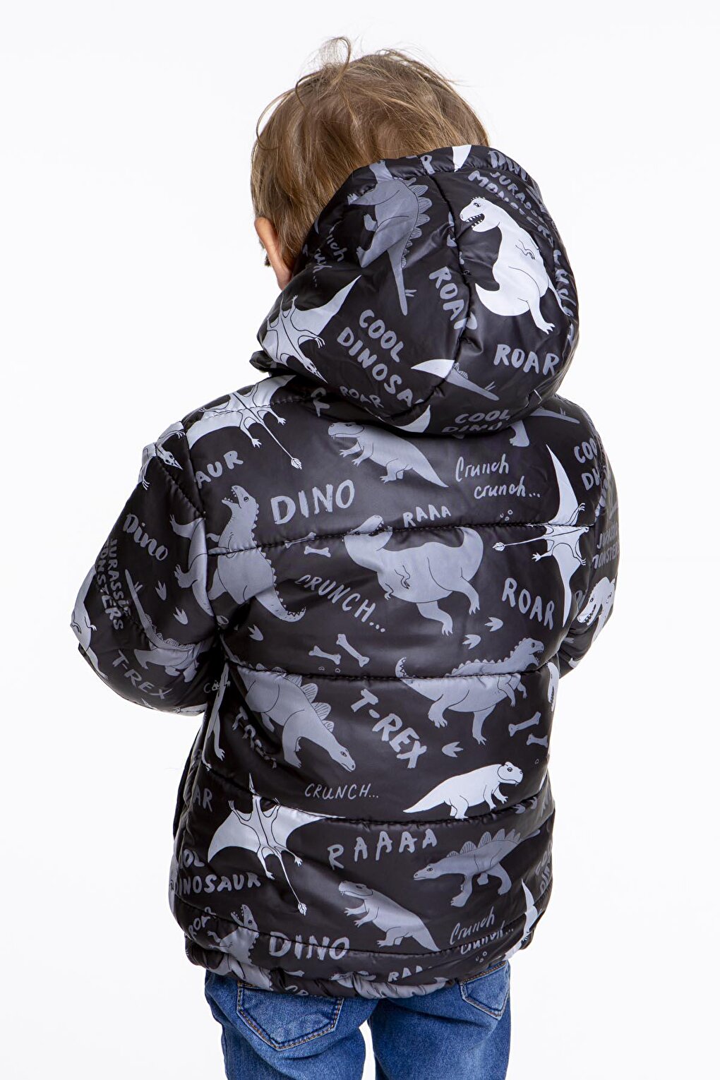 Kids Boy's Coat with Welsoft Inside Dinosaur Patterned Hat AK2509