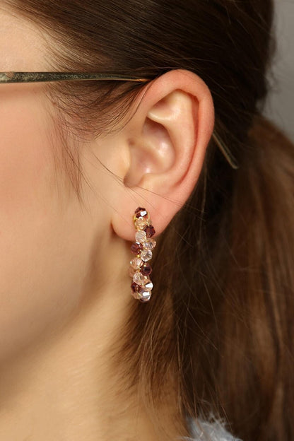 Champagne and Brown Color 2-Piece Crystal Earrings