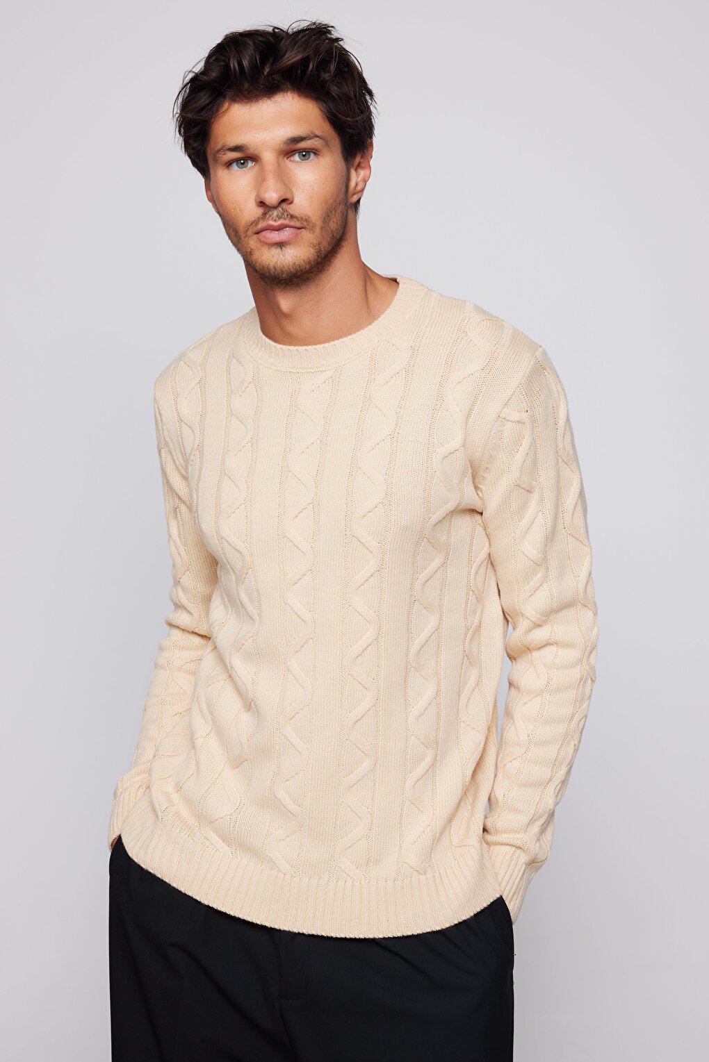 Men's Slim Fit Narrow Cut Crew Neck Self Patterned Beige Sweater