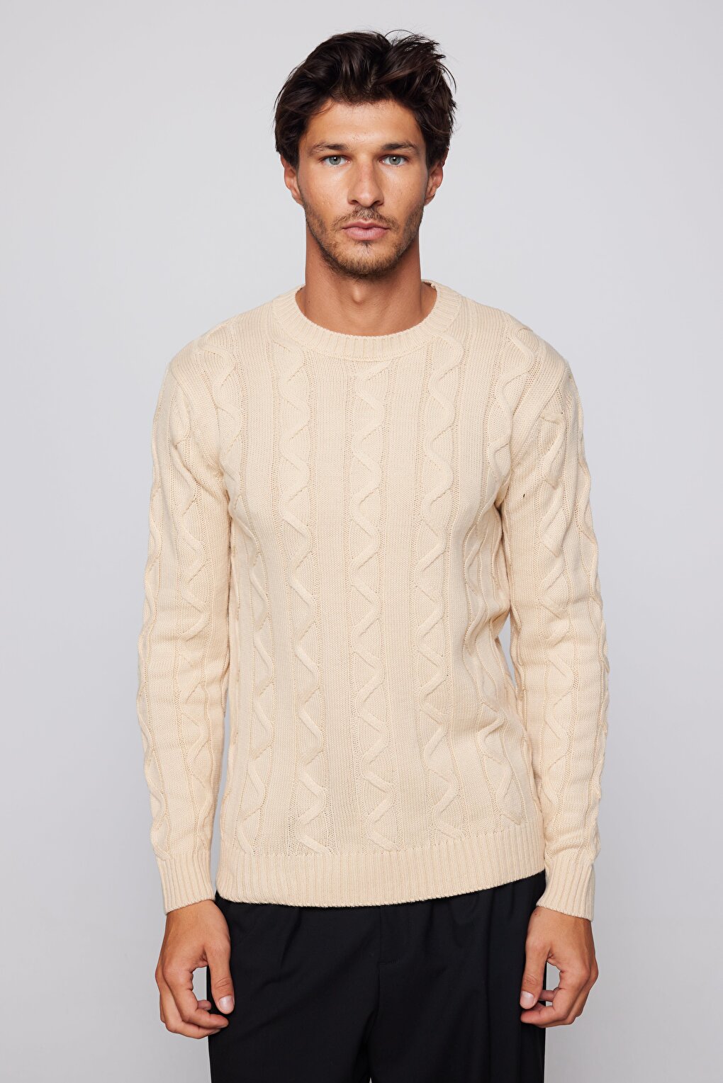 Men's Slim Fit Narrow Cut Crew Neck Self Patterned Beige Sweater