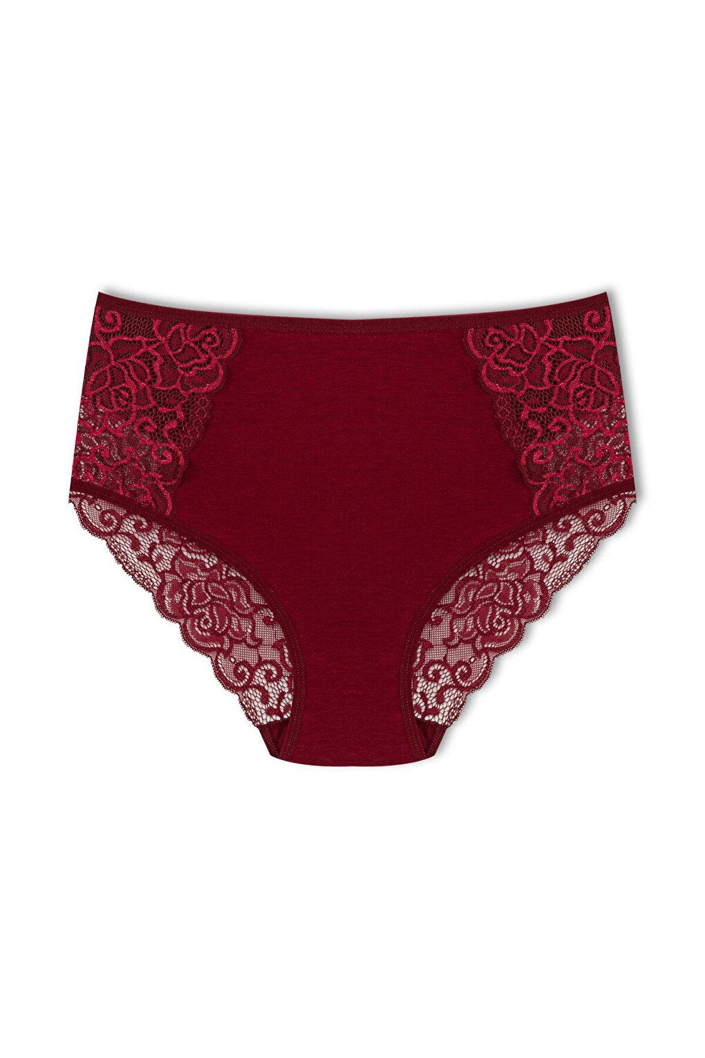 Cotton Front Sides and Back V Lace Detail High Waist Plus Size Women's Panties