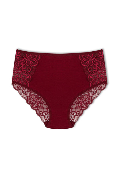 Cotton Front Sides and Back V Lace Detail High Waist Plus Size Women's Panties