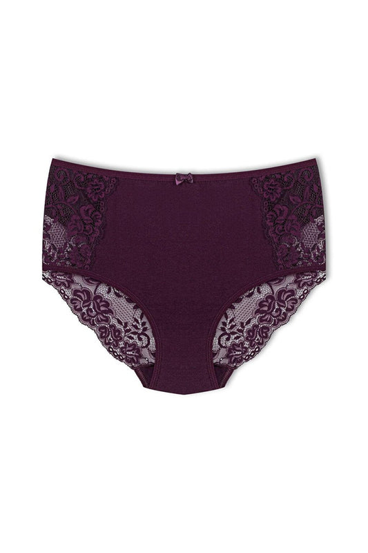 Cotton Front Sides and Back V Lace Detail High Waist Plus Size Women's Panties