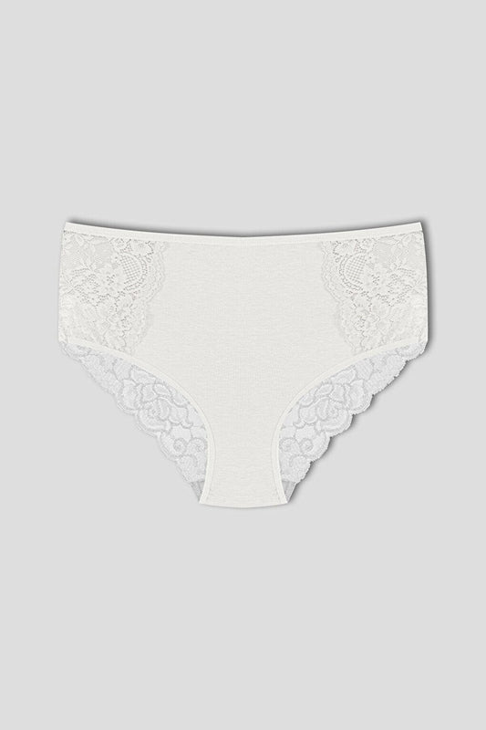 Cotton Front Sides and Back V Lace Detail High Waist Plus Size Women's Panties