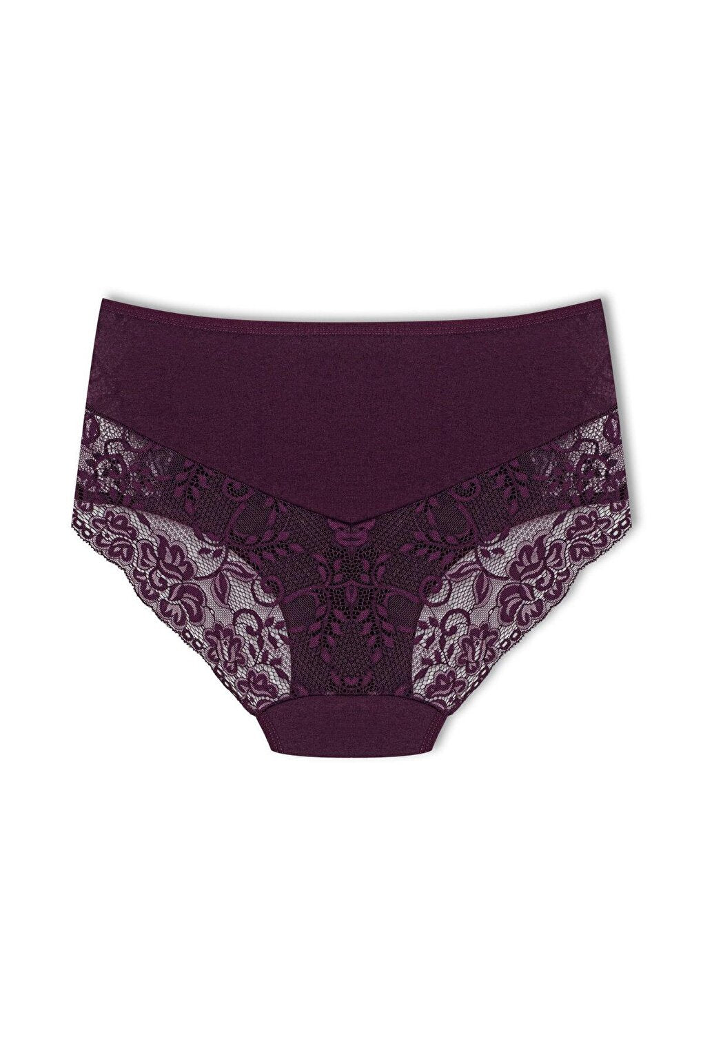 Cotton Front Sides and Back V Lace Detail High Waist Plus Size Women's Panties