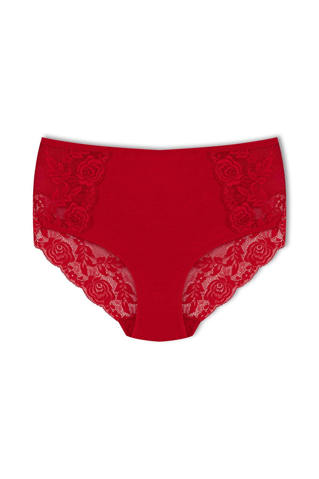 Cotton Front Sides and Back V Lace Detail High Waist Plus Size Women's Panties