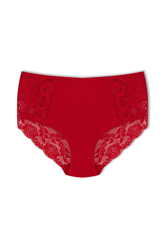 Cotton Front Sides and Back V Lace Detail High Waist Plus Size Women's Panties