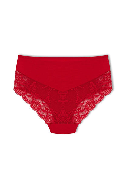 Cotton Front Sides and Back V Lace Detail High Waist Plus Size Women's Panties