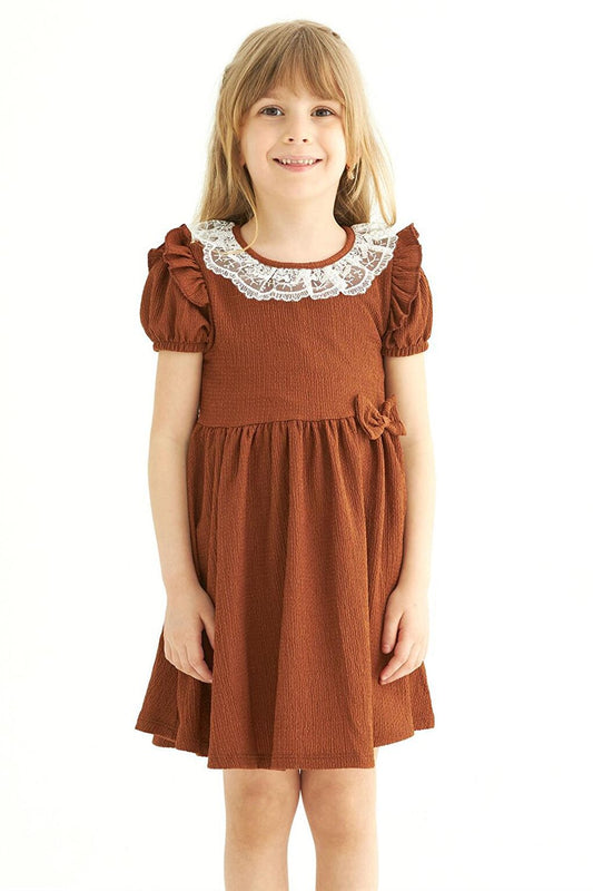 Girl's Brown Colored Crew Neck Lace Dress