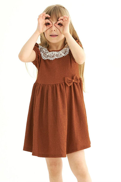 Girl's Brown Colored Crew Neck Lace Dress