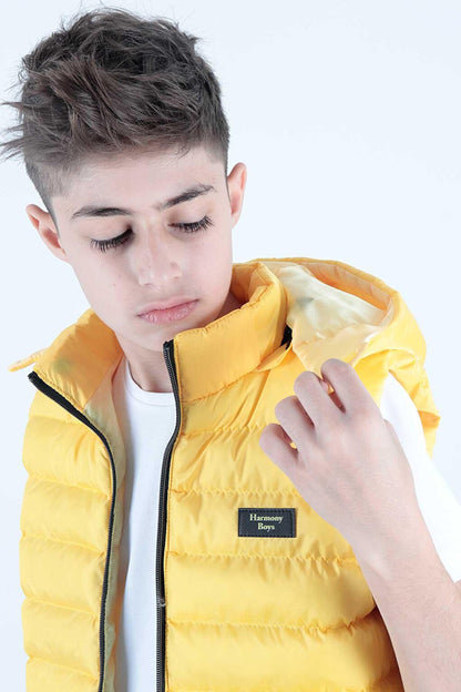 Boy's Fashion Trend Hooded Puffer Vest Ak215051