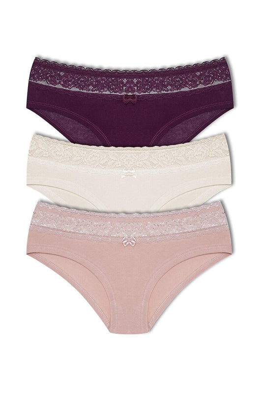 Cotton Waist Lace Detailed Hipster Women's Panties 3-Piece