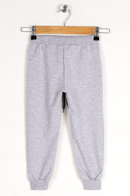 Boy's Gray Colored Looking Forward And Creating Printed Sweatpants