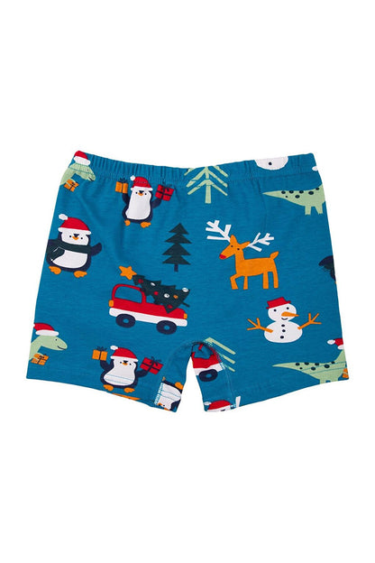 New Year's Boy's Boxer Pack of 4 Colorful