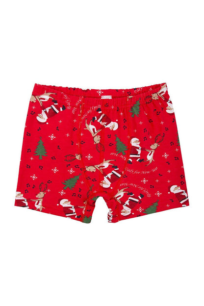 New Year's Boy's Boxer Pack of 4 Colorful