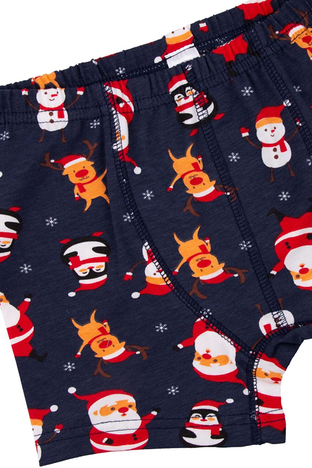 New Year's Boy's Boxer Pack of 4 Colorful