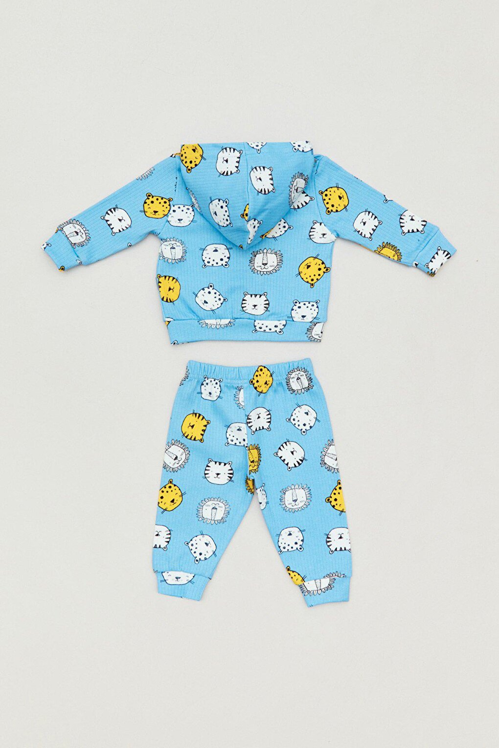 Printed Hooded Baby 3 Piece Set