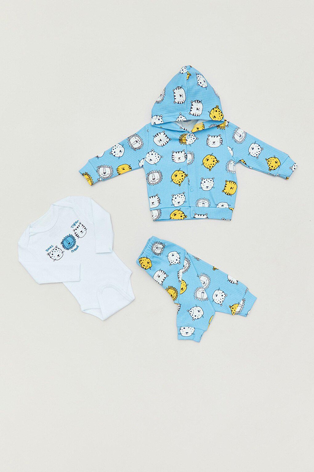 Printed Hooded Baby 3 Piece Set