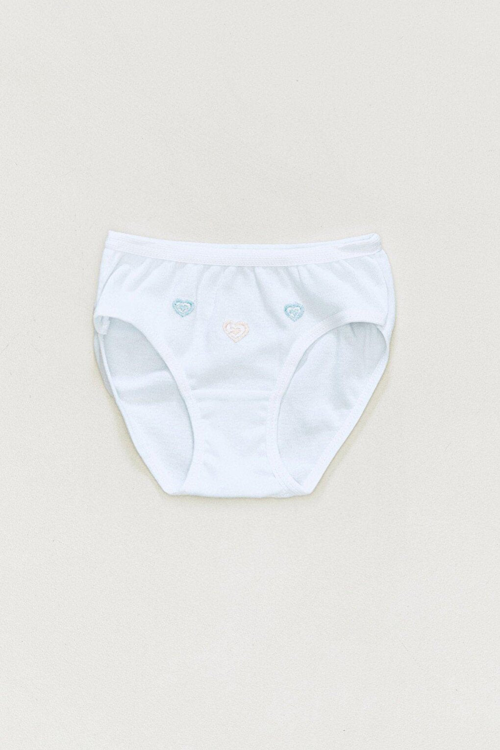 Embroidered Girl's Slip Panties