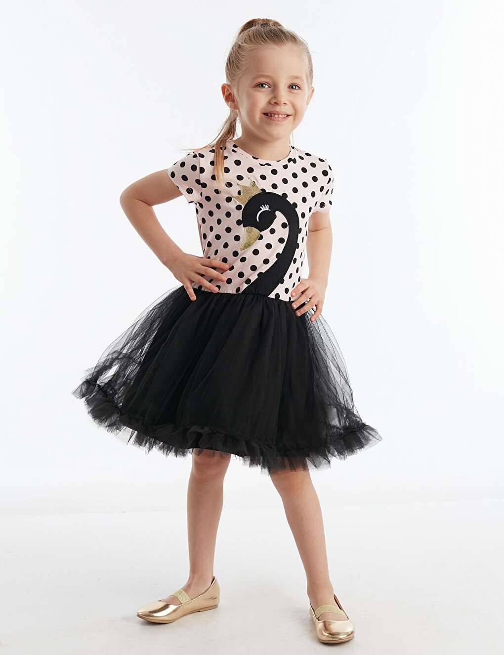 Black Swan Girl Tutu Dress