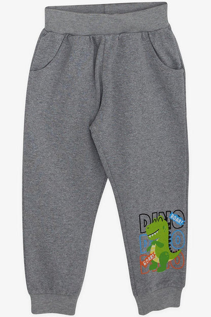 Boy's Tracksuit Set Colorful Slogan Printed Gray (Age 1-3)