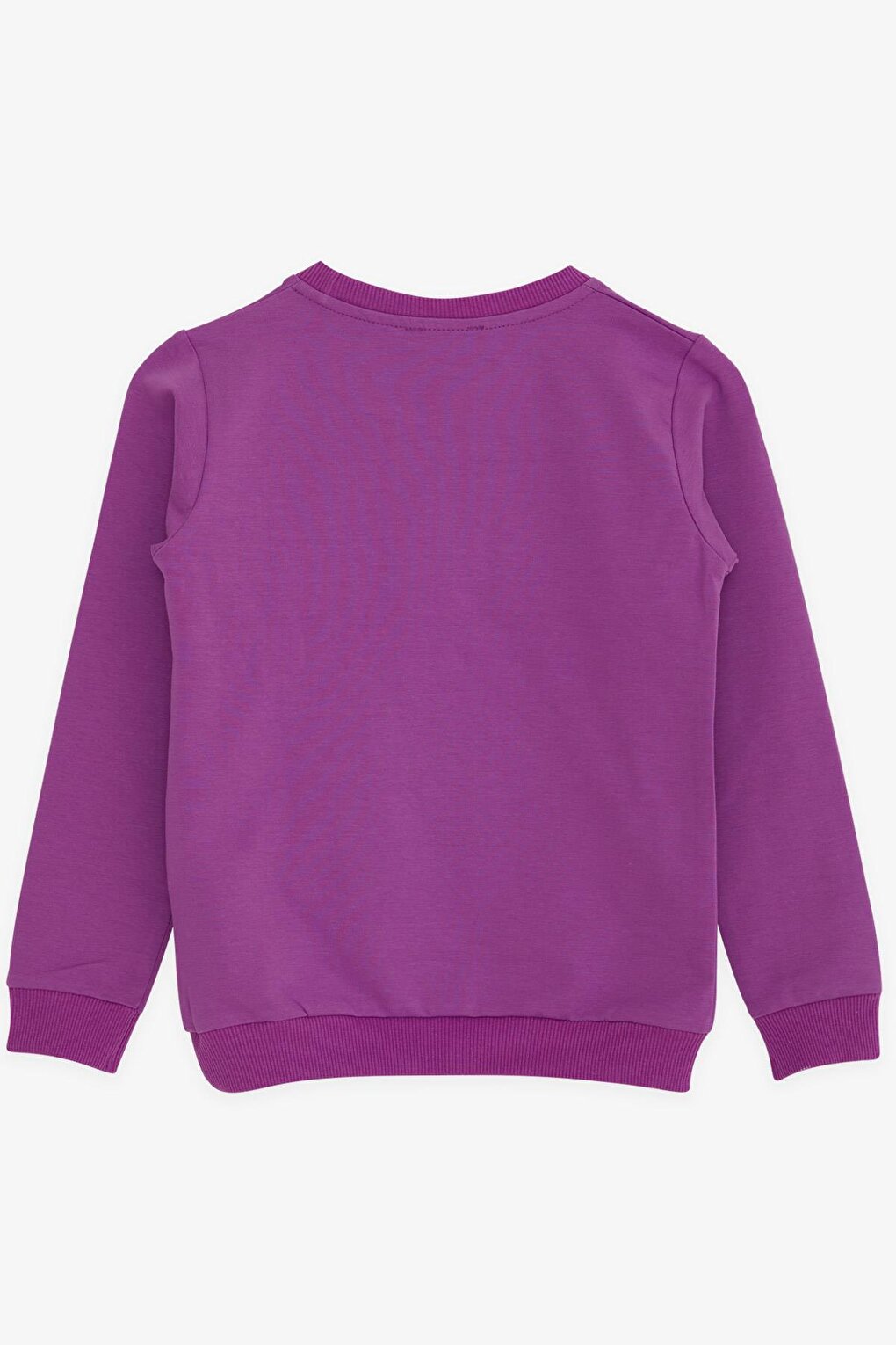 Girl's Sweatshirt Girl Printed Sequin Purple (Age 12-14)