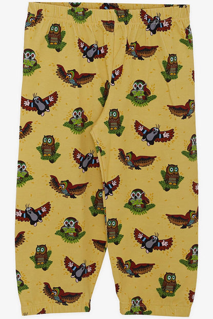 Boy's Pajama Set, Cute Owl Patterned Yellow (Age 1-4)