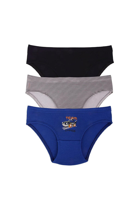 Boy's Cotton Briefs Underpants 3 Pack