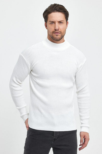 Regular Fit Half Turtleneck Ribbed Men's Knitwear Sweater RF0447