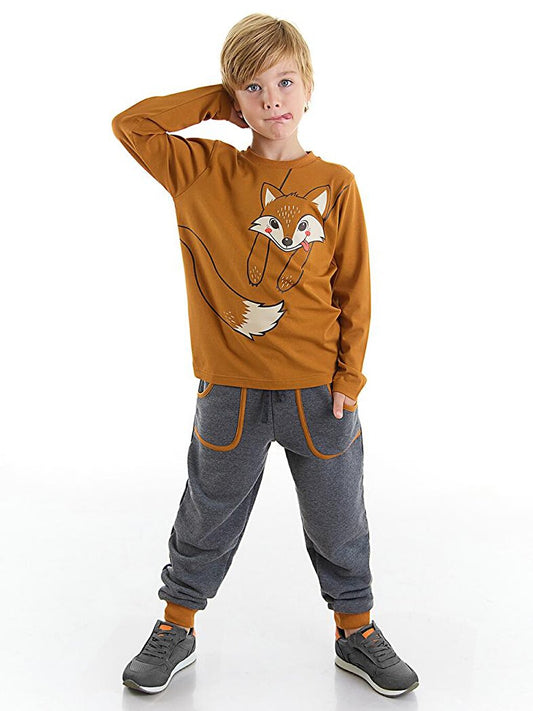 Brown Fox Boy's T-shirt Trousers Set