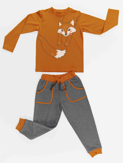 Brown Fox Boy's T-shirt Trousers Set