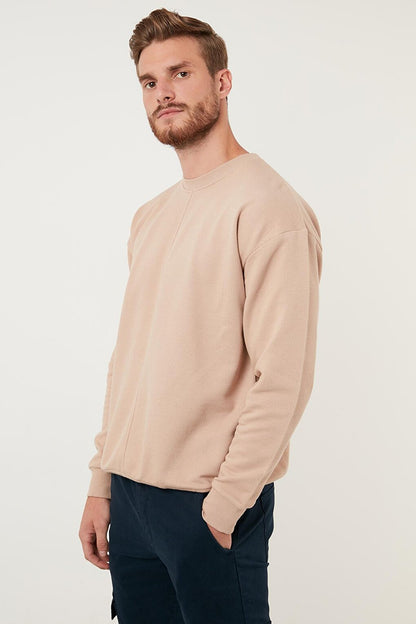 Regular Fit Crew Neck Cotton Sweat 59052721