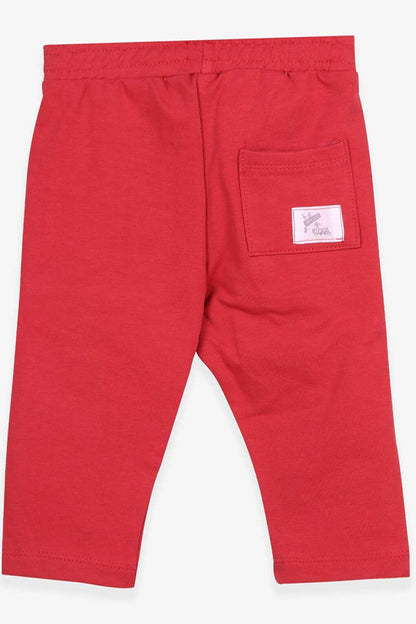 Boy's Sweatpants with Bag Pocket Tile (Age 1-4)