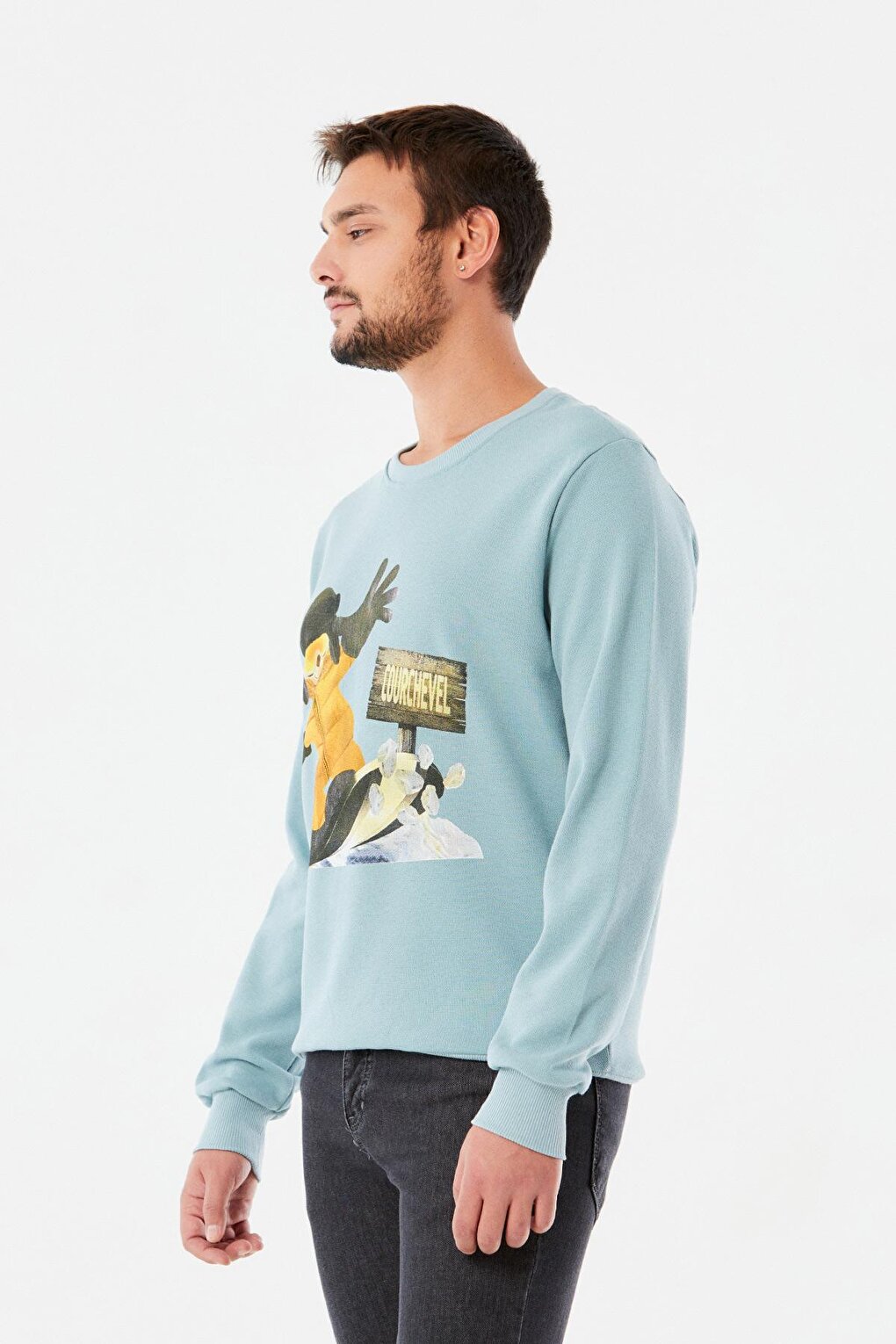 Printed Crew Neck Sweatshirt