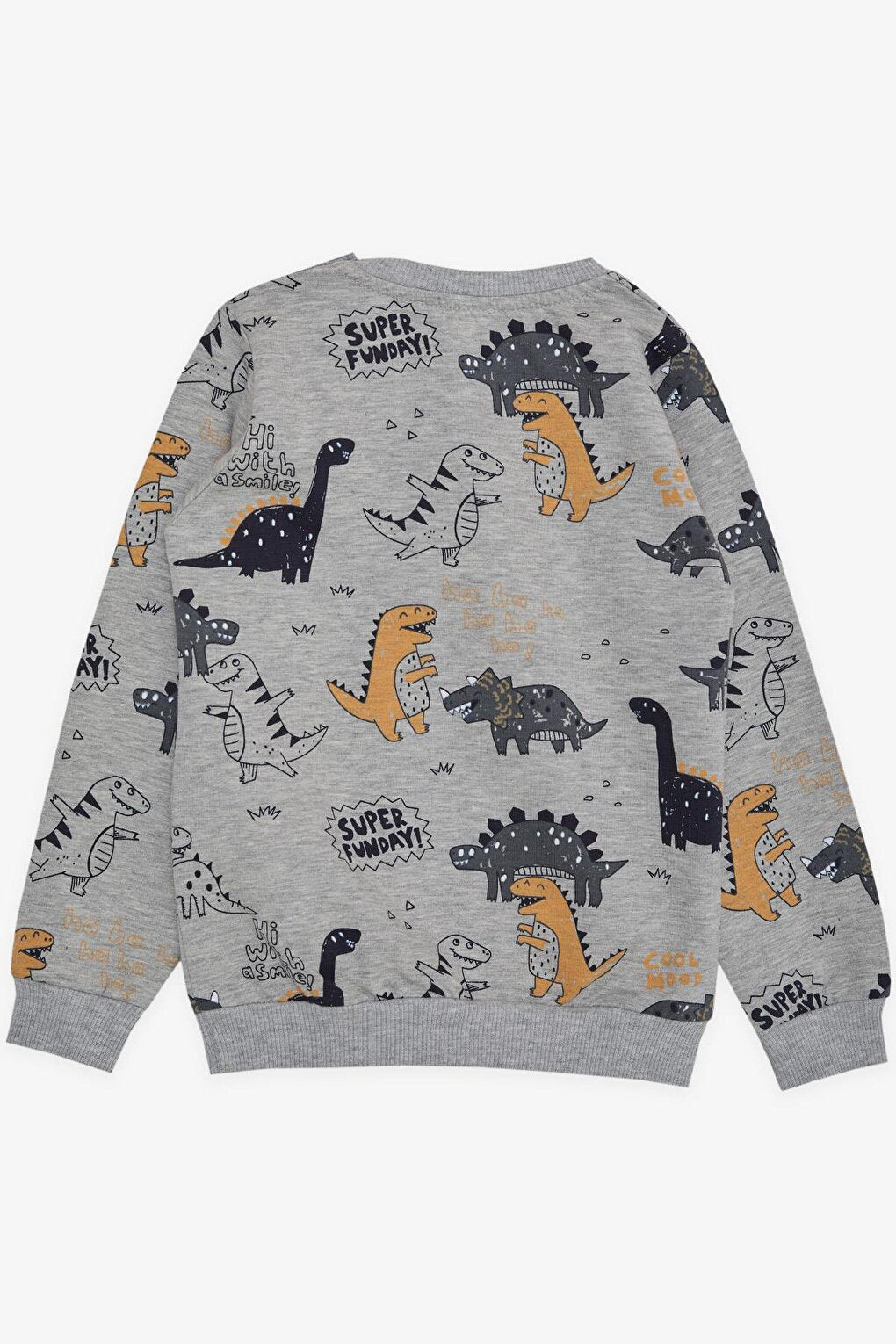 Boy's Sweatshirt Dinosaur Patterned Gray Melange (1.5-5 Years)