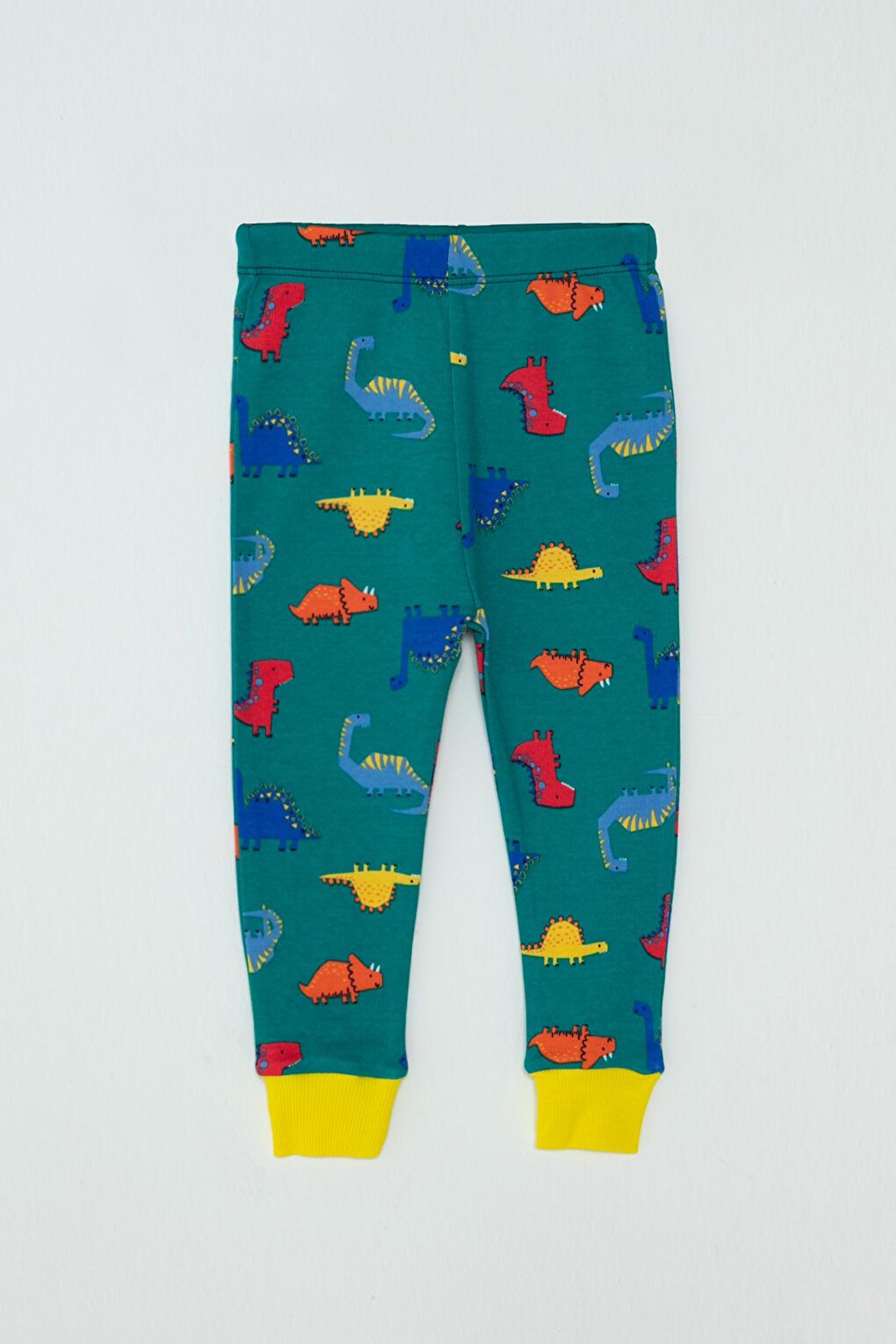 Dinosaur Printed Baby Boy Sweatpants