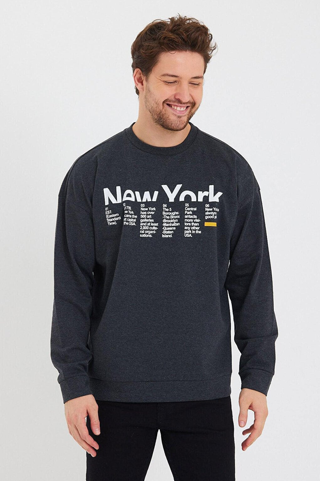 Men's Crew Neck Oversize Fit New York Printed Sweatshirt SPR23SW332