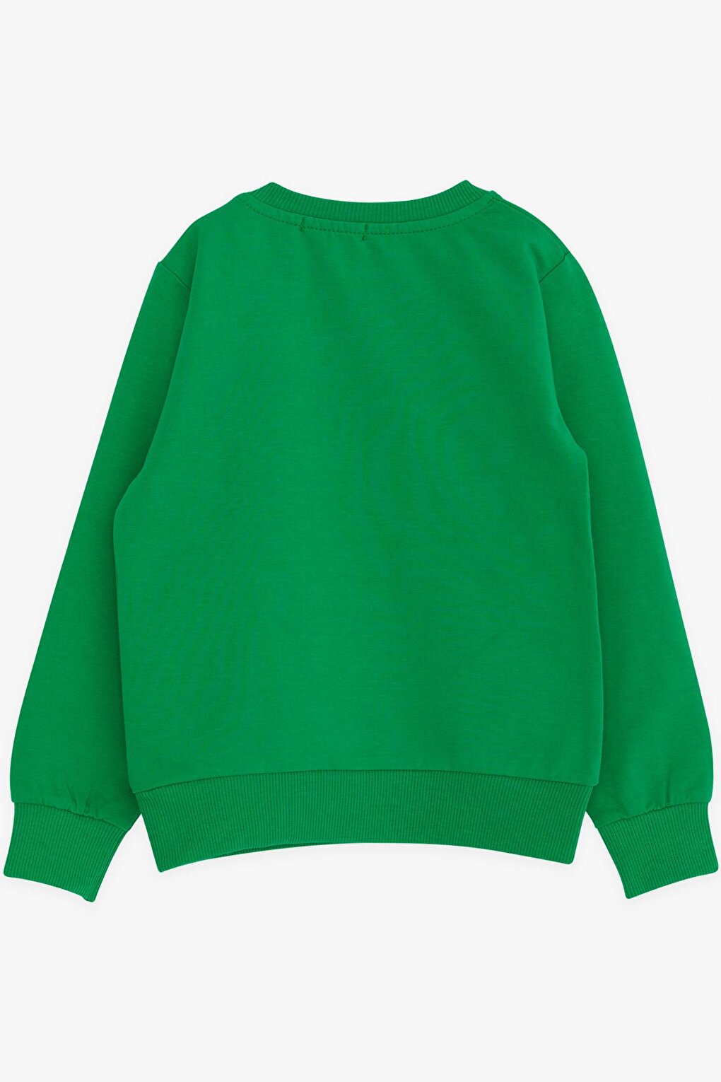 Boy's Sweatshirt Text Printed Green (Age 2-5)