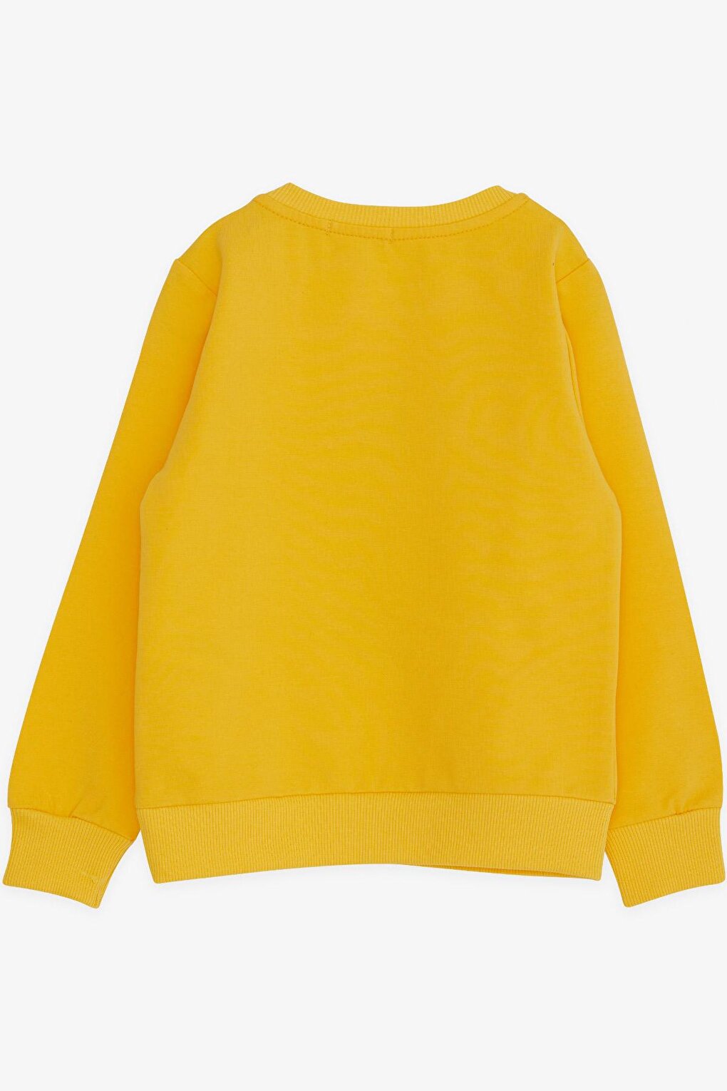 Boy's Sweatshirt Text Printed Yellow (Age 2-4)