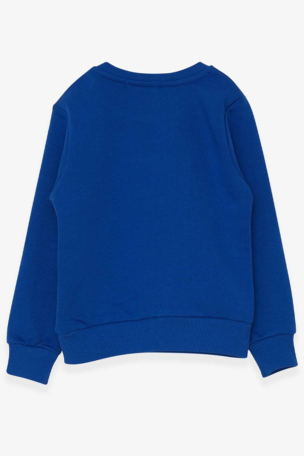 Baby Boy Sweatshirt Text Printed Saks Blue (Age 2)