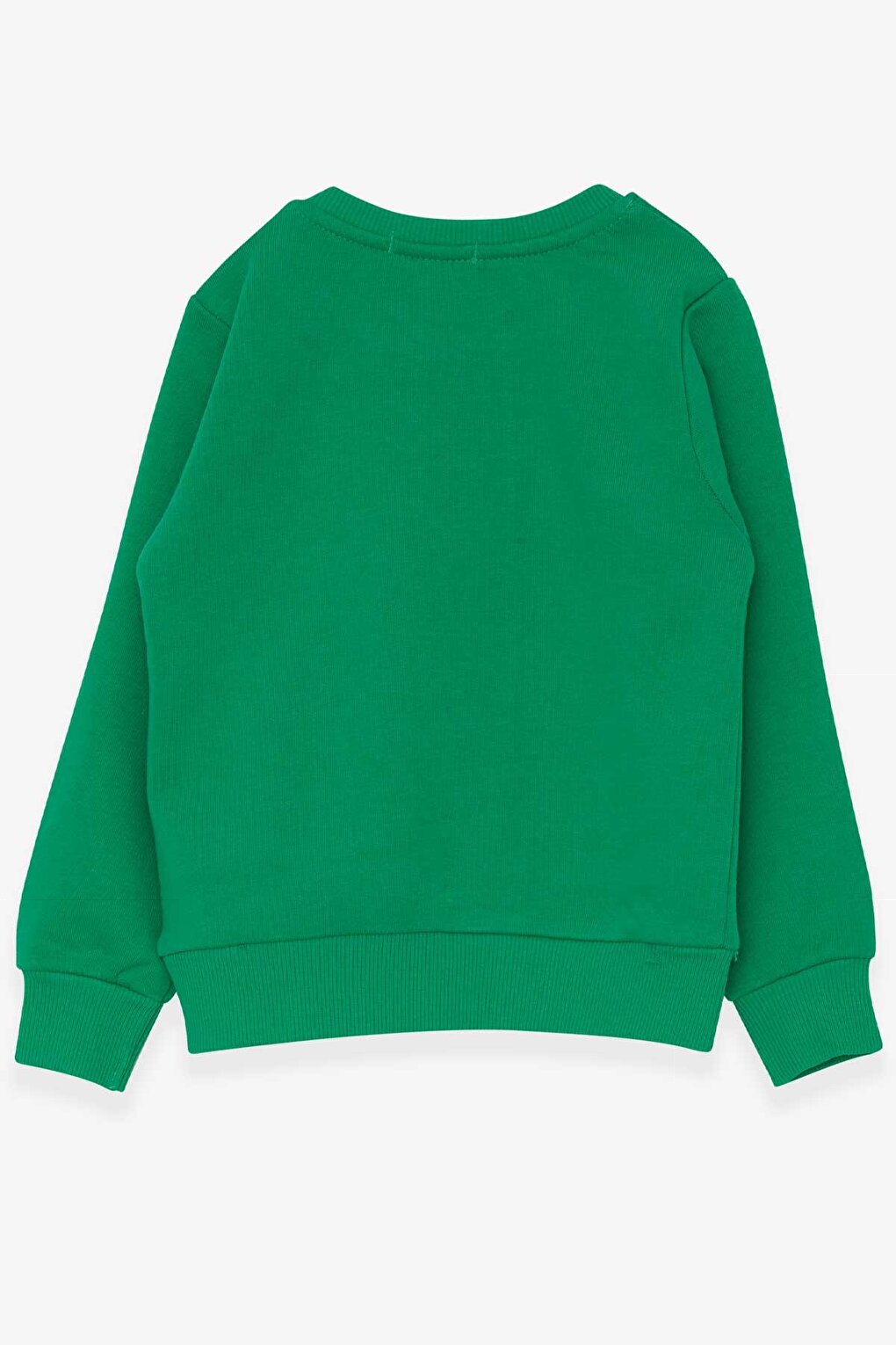 Baby Boy Sweatshirt Text Printed Green (Age 2)