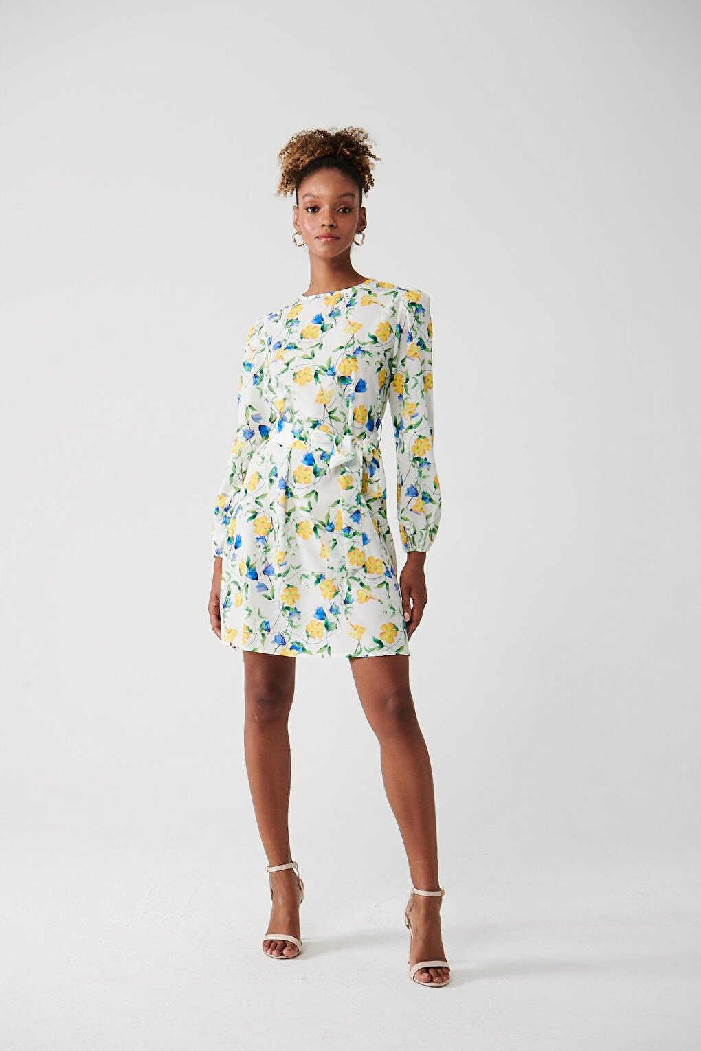 Long Sleeve Crew Neck Printed Dress