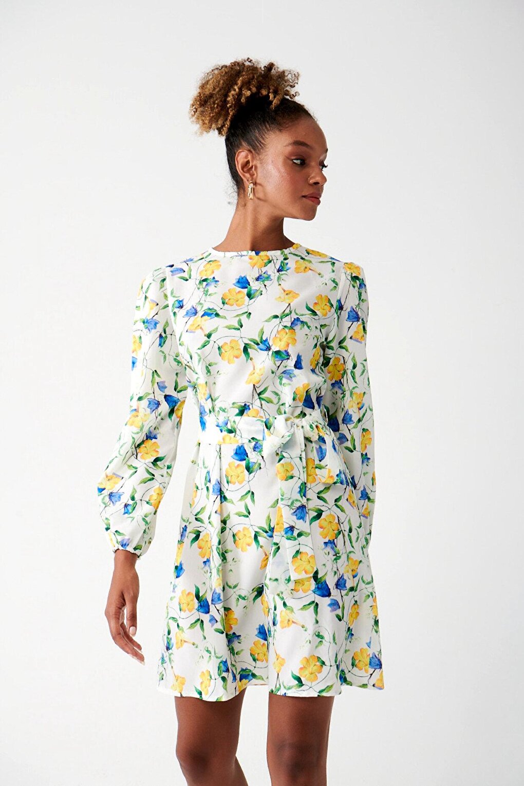 Long Sleeve Crew Neck Printed Dress