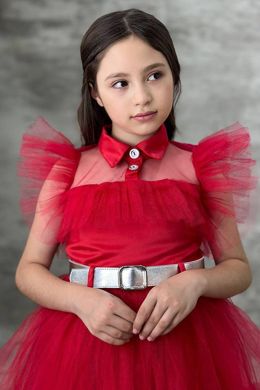 Girl's Shirt Collar, Chest and Sleeves, Tulle Detailed Wednesday Red Dress