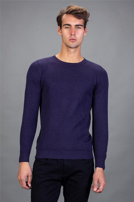 Slim Fit Crew Neck Honeycomb Patterned Men's Purple Sweater