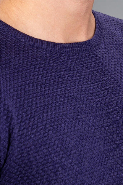 Slim Fit Crew Neck Honeycomb Patterned Men's Purple Sweater