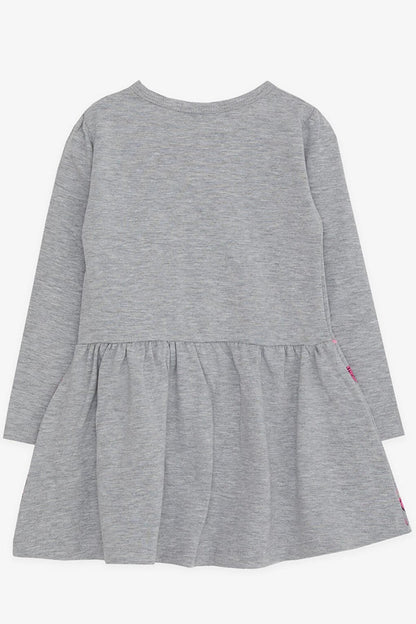 Girl's Long Sleeve Dress Sequin Girl Printed Gray Melange (Age 3-5)