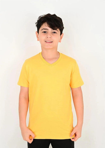 V-Neck Unprinted Plain T-Shirt 6731